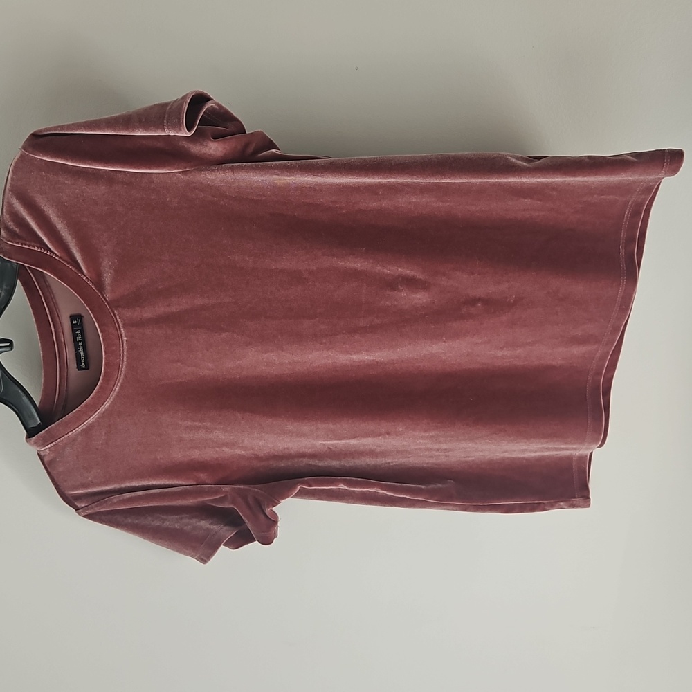 Abercambie And Fitch Short Sleeve Velvet Tee in Dusty Rose - Picture 4 of 4